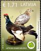 Colnect-3159-402-Aberrant-Birds-Lyrurus-tetrix--amp--Motacilla-alba.jpg