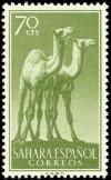 Colnect-1399-270-Dromedary-Camelus-dromedarius.jpg