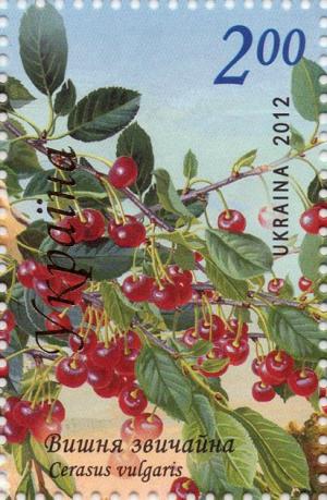 Colnect-2853-524-Cherry-Cerasus-vulgaris.jpg