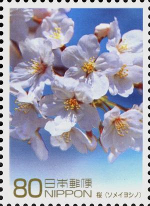 Colnect-4031-769-Cherry-Blossoms---Japan.jpg