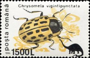 Colnect-4586-680-Willow-Leaf-Beetle-Chrysomela-vigintipunctata-Overprinted.jpg