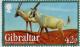 Colnect-2172-159-Arabian-Oryx-Oryx-gazella-leucoryx.jpg