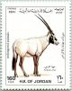 Colnect-4083-515-Arabian-Oryx-Oryx-gazella-leucoryx.jpg