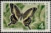 Colnect-1054-020-Central-Emperor-Swallowtail-Papilio-lormeri.jpg