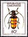 Colnect-1209-604-Long-horned-Borer-Beetle-Analeptes-trifasciata-.jpg