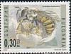 Colnect-1832-725-Wool-Carder-Bee-Anthidium-manicatum.jpg