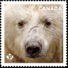 Colnect-5921-335-Kermode-Bear-Ursus-americanus-kermodei.jpg