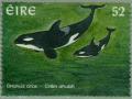 Colnect-129-382-Killer-Whale-Orcinus-orca.jpg