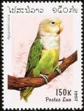 Colnect-1614-691-Madagascar-Lovebird-Agapornis-cana.jpg