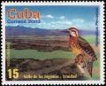 Colnect-2134-177-Cuban-Green-Woodpecker-Xiphidiopicus-percussus-Valle-de-l.jpg