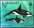 Colnect-2534-479-Killer-Whale-Orcinus-orca.jpg