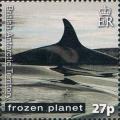 Colnect-2888-031-Killer-Whale-Orcinus-orca.jpg