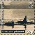 Colnect-2888-032-Killer-Whale-Orcinus-orca.jpg