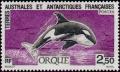 Colnect-886-918-Killer-Whale-Orcinus-orca.jpg