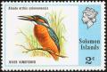 Common-Kingfisher-Alcedo-atthis.jpg