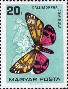 Colnect-448-199-Scarlet-Tiger-Moth-Callimorpha-dominula.jpg