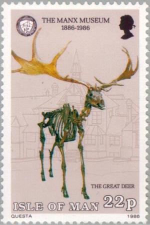 Colnect-124-600-Skeleton-of-Great-Deer---Irish-Elk-Megalocerus-giganteus.jpg
