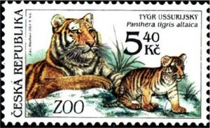 Colnect-1448-296-Amur-tiger-Panthera-tigris-altaica.jpg