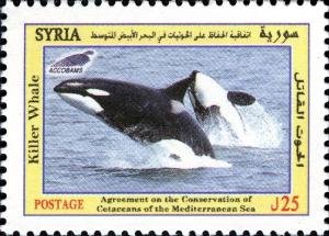 Colnect-1852-004-Killer-Whale-Orcinus-orca.jpg