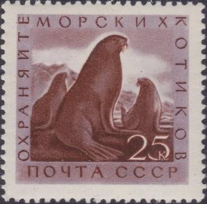 Colnect-1864-012-Northern-Fur-Seal-Callorhinus-ursinus.jpg