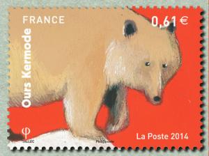 Colnect-2041-051-Kermode-Bear-Ursus-americanus-kermodei.jpg