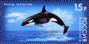 Colnect-2132-392-killer-Whale-Orcinus-orca.jpg