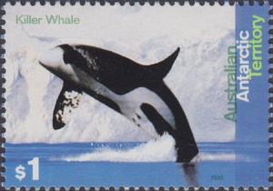Colnect-3470-689-Killer-Whale-Orcinus-orca.jpg