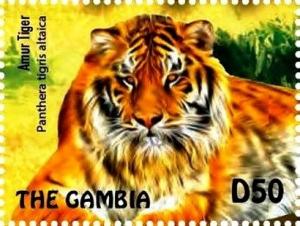 Colnect-3611-908-Amur-Tiger-Panthera-tigris-altaica.jpg