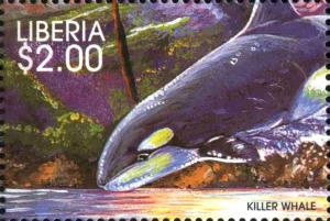 Colnect-3977-634-Killer-Whale-Orcinus-orca.jpg