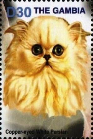 Colnect-4686-097-Copper-eyed-white-Persian.jpg