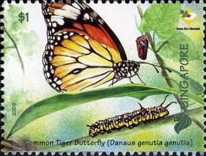 Colnect-609-934-Common-Tiger-Butterfly-Danaus-genutia.jpg