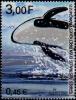 Colnect-887-998-Killer-Whale-Orcinus-orca.jpg