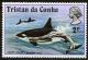 Colnect-1772-150-Killer-Whale-Orcinus-orca.jpg