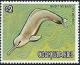 Colnect-3075-020-Amazon-River-Dolphin-Inia-geoffrensis-.jpg