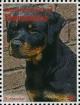 Colnect-3277-020-Rottweiler-Canis-lupus-familiaris.jpg