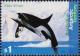 Colnect-4715-067-Killer-Whale-Orcinus-orca.jpg
