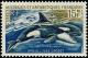 Colnect-885-976-Killer-Whale-Orcinus-orca.jpg