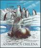 Colnect-4039-100-Antarctic-Fur-Seal-Arctocephalus-gazella.jpg