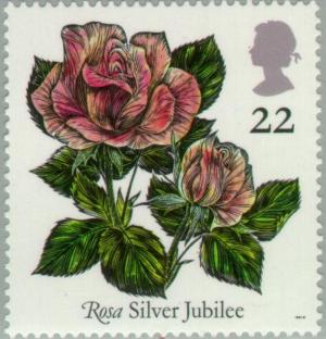 Colnect-122-768--Rosa--Silver-Jubilee.jpg