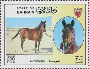 Colnect-1805-987--quot-Al-Tuwaisah-quot--Equus-ferus-caballus.jpg