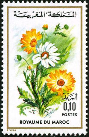 Colnect-1894-962-Chrysanthemum-carinatum.jpg