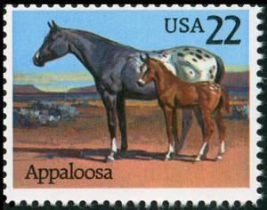 Colnect-4844-917-Appaloosa-Equus-ferus-caballus.jpg