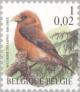 Colnect-187-596-Red-Crossbill-Loxia-curvirostra.jpg