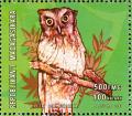 Colnect-1458-238-Tropical-Screech-Owl-Otus-choliba.jpg