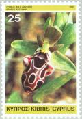 Colnect-174-991-Ophrys-kotschyi---Cyprus-Bee-Orchid.jpg