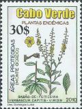 Colnect-4093-151-Verbascum-capitis-viridis.jpg