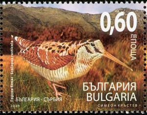 Colnect-5250-743-Eurasian-Woodcock-Scolopax-rusticola---Imperforated.jpg