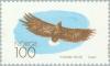 Colnect-161-693-White-tailed-or-Sea-Eagle-Haliaeetus-albicilla.jpg