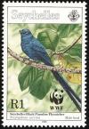 Colnect-1721-652-Seychelles-Paradise-Flycatcher-Terpsiphone-corvina.jpg