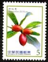 Colnect-1856-363-Synsepalum-dulcificum.jpg